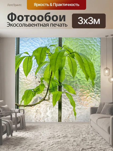 Фотообои Стекло