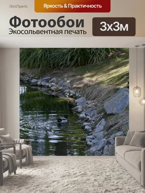 Фотообои Утиный пруд