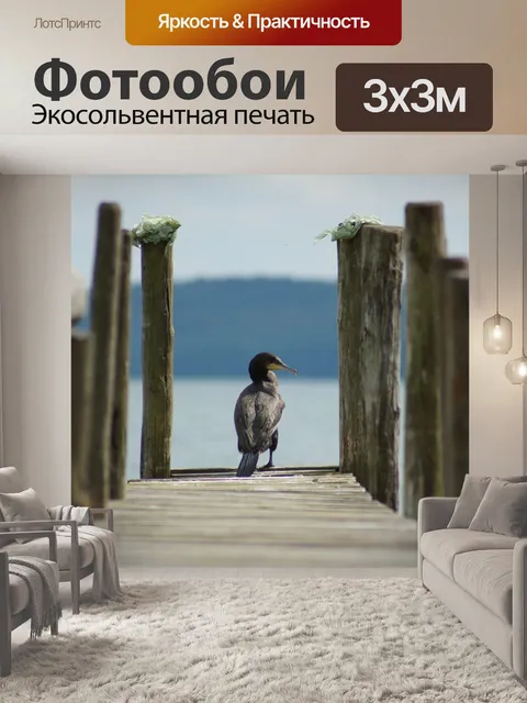 Фотообои Баклан