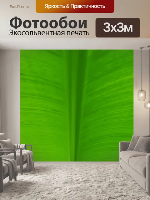 Фотообои Деталь листьев пальмы