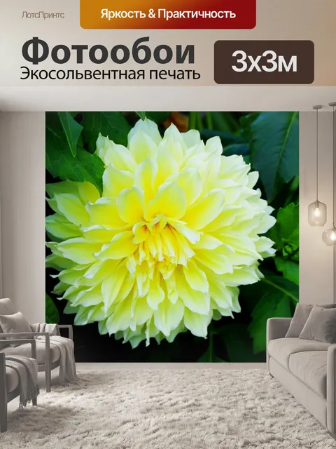 Фотообои Цветок