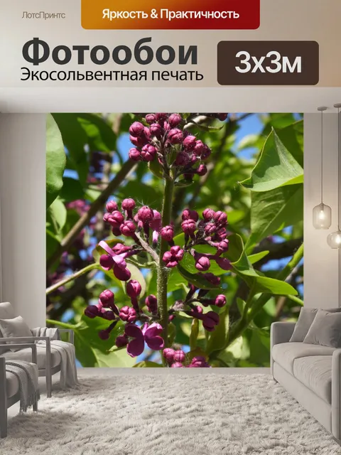 Фотообои Без
