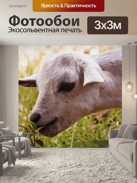 Фотообои Козел