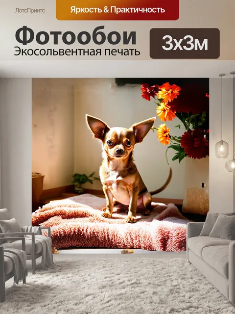 Фотообои жизнерадостная чихуахуа