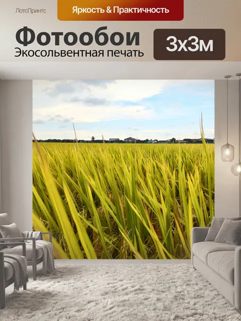 Фотообои Пэдди