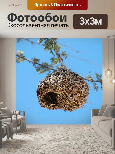Фотообои Гнездо