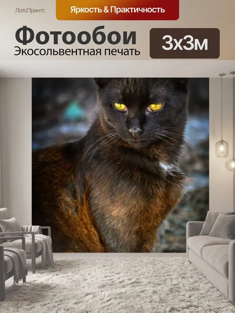 Фотообои Мрачный