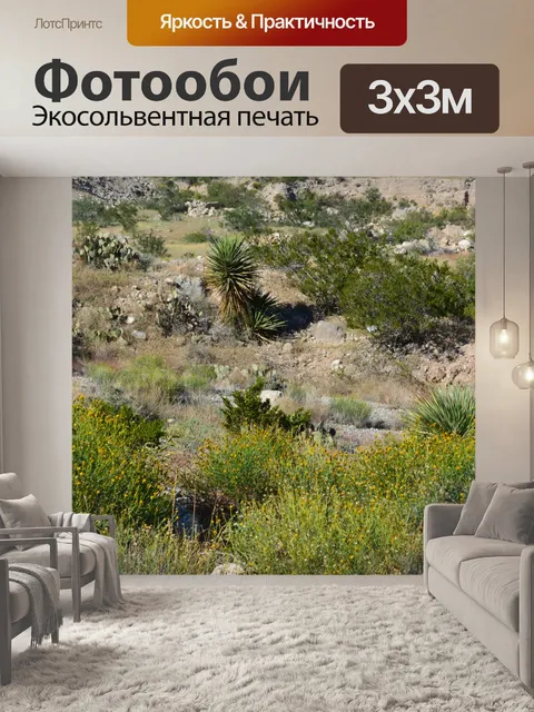Фотообои Государственный парк Franklin Mountains