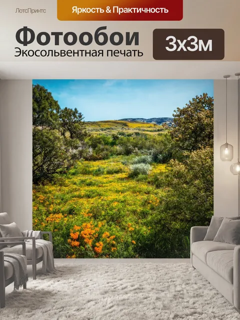 Фотообои пейзаж в стиле модернизм, необычные ракурсы, хаотичные элементы, синтез природы и искусства