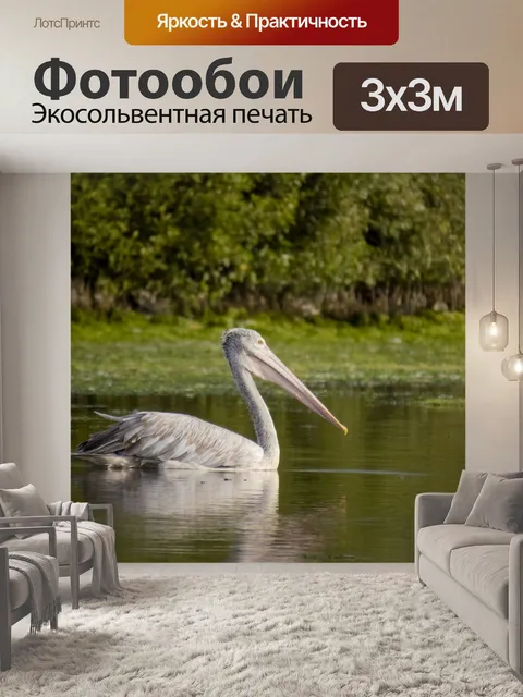Фотообои Птица