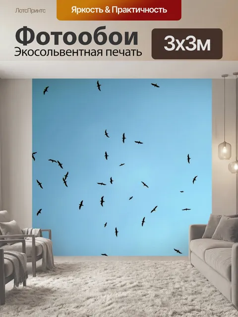 Фотообои Чайка