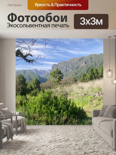 Фотообои Ла пальма