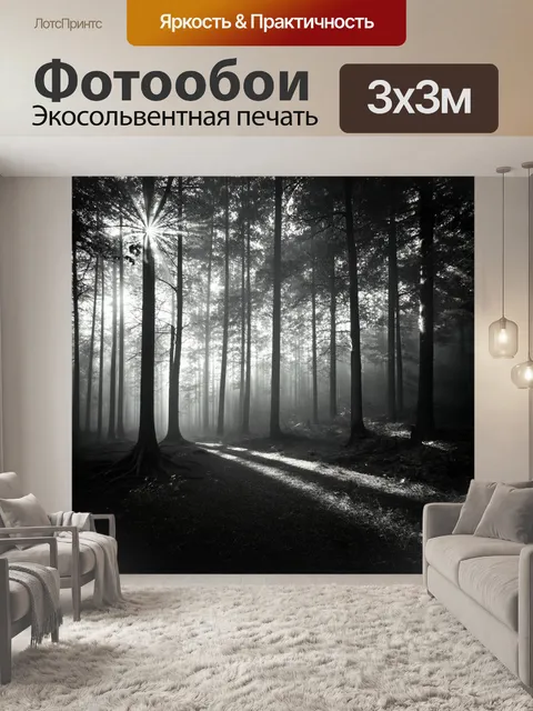 Фотообои черно-белый: утреннее солнце, пробивающееся сквозь деревья в лесу, создающее узоры света на земле