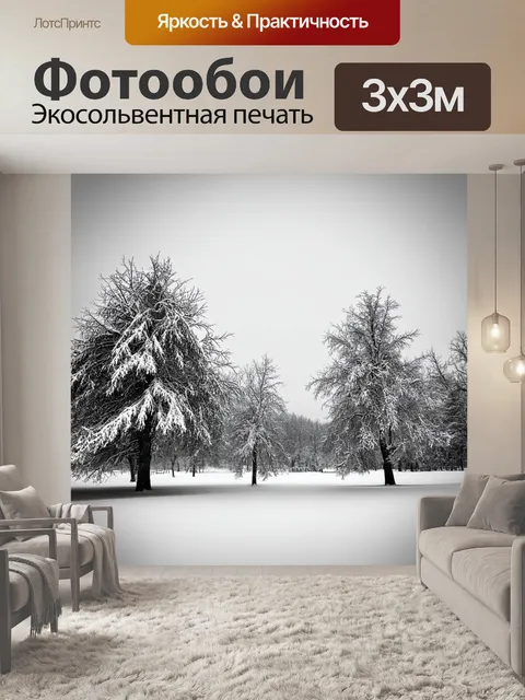 Фотообои черно-белый с изолированными заснеженными деревьями на фоне серого неба