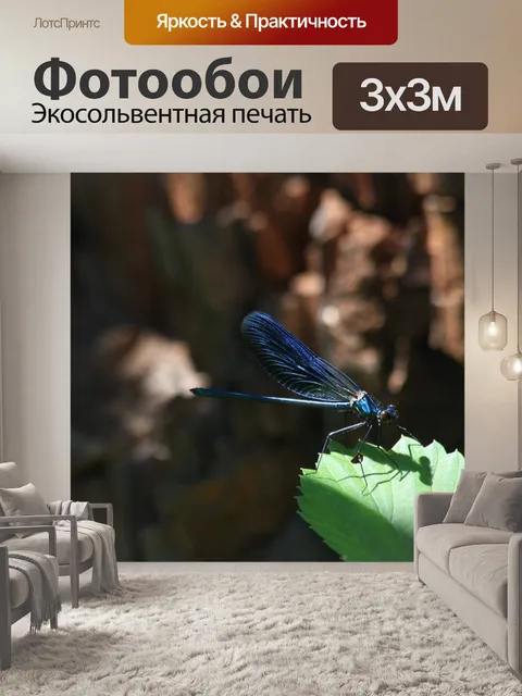 Фотообои Стрекоза