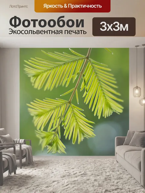 Фотообои Листья