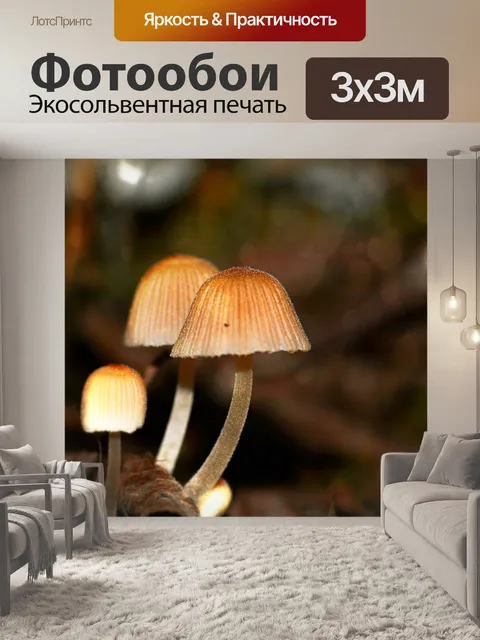 Фотообои Грибы