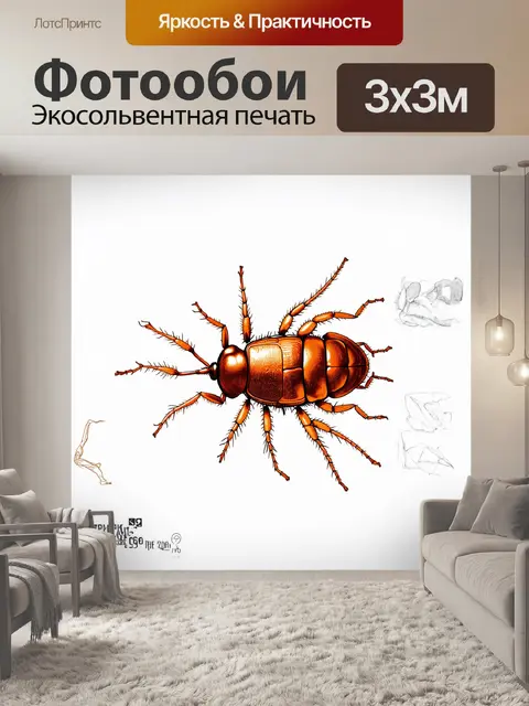 Фотообои детальное изображение таракана в стиле научной иллюстрации