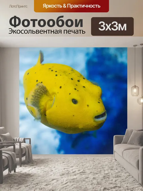 Фотообои Желтая рыба фугу