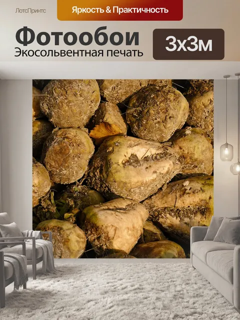 Фотообои Максимальная