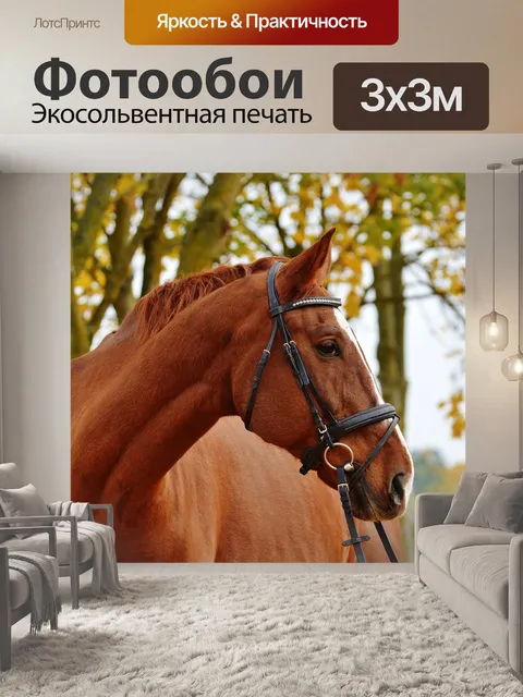 Фотообои Лошадь