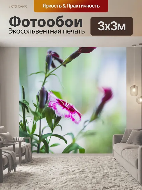 Фотообои Натюрморт