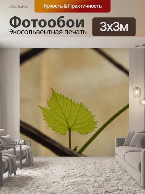 Фотообои Лист