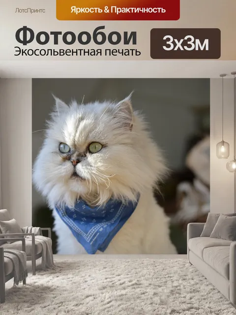 Фотообои Кот