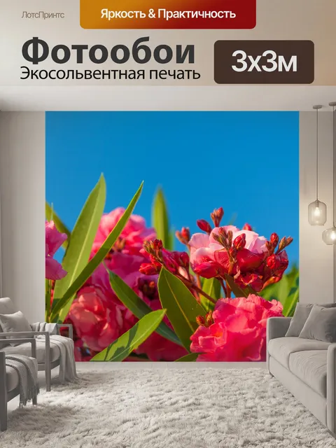 Фотообои розовый олеандр