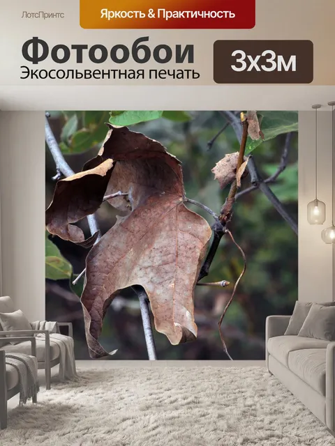 Фотообои Браун и зеленые листья