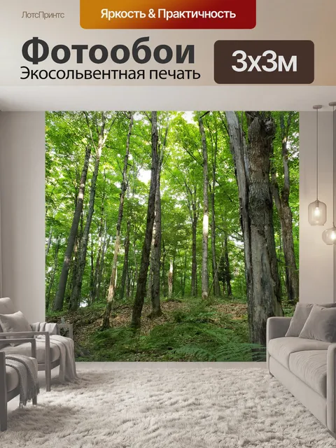 Фотообои Лесные деревья летом