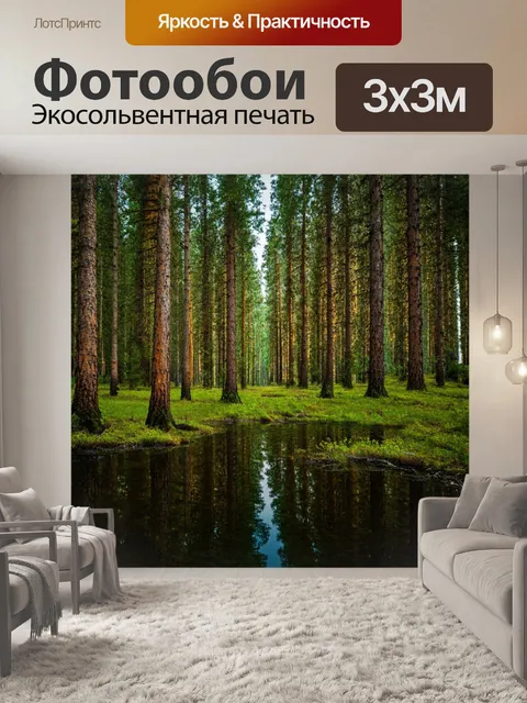 Фотообои прием борового леса, шепот деревьев, размышления о жизни