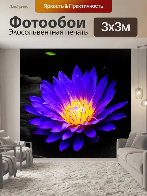 Фотообои Цветок