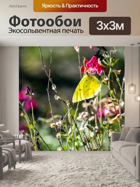 Фотообои Желтая бабочка