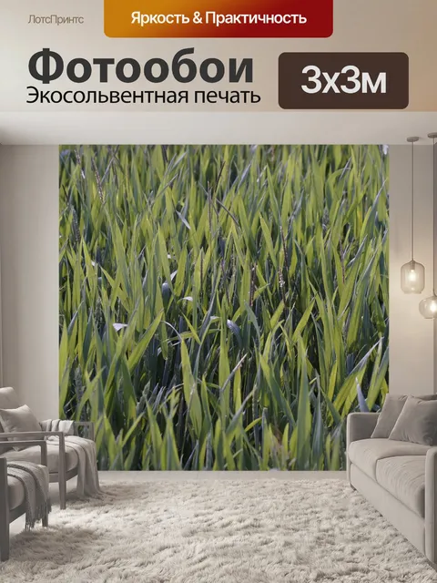 Фотообои Пшеничное поле