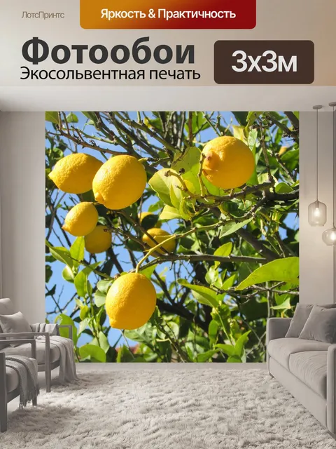 Фотообои Кипр