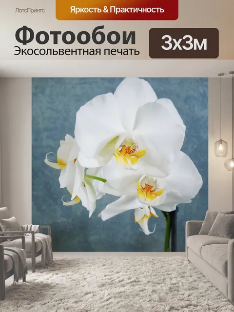 Фотообои Белая орхидея