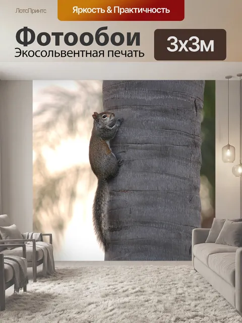 Фотообои Белка на ствол