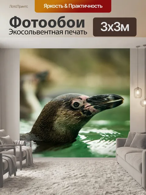 Фотообои Зоопарк