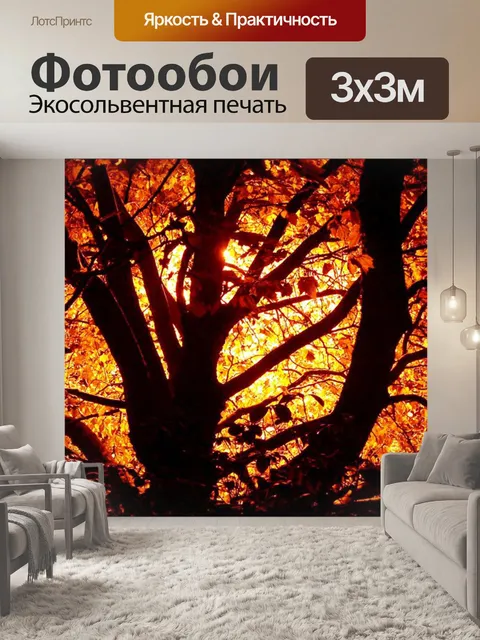 Фотообои Autumn Fire