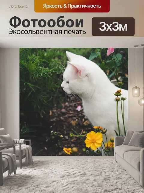 Фотообои Кошка
