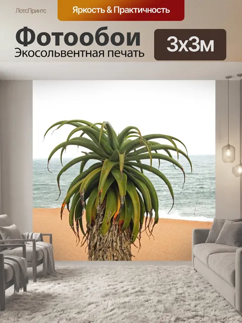 Фотообои алоэ на пляже