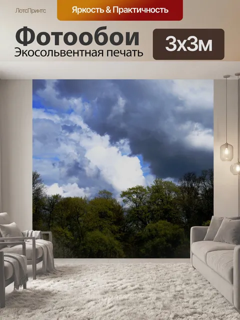 Фотообои деревья и облака от Невы