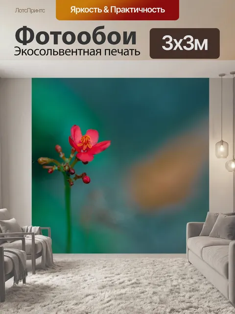 Фотообои Макросъемка