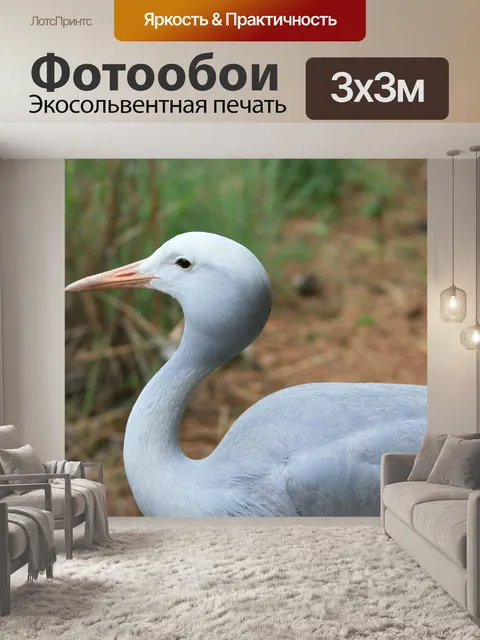 Фотообои Птица синий кран
