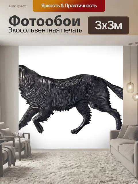 Фотообои Черный собака