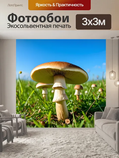 Фотообои грибы шампиньоны, растущие в профиль на открытой местности, с ярким синим небом на фоне