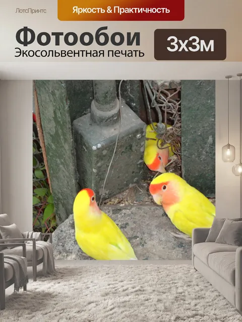 Фотообои Наблюдение за птицами