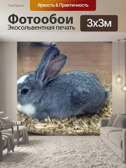 Фотообои кролик