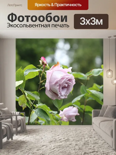 Фотообои Роза